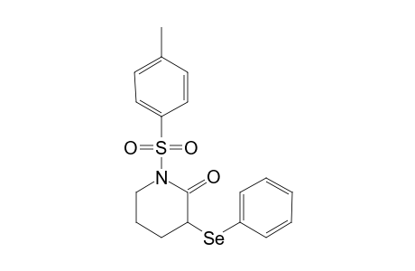1-(4-Methylphenyl)sulfonyl-3-(phenylseleno)-2-piperidinone