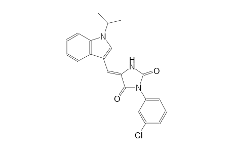 (5Z)-3-(3-chlorophenyl)-5-[(1-isopropyl-1H-indol-3-yl)methylene]-2,4-imidazolidinedione