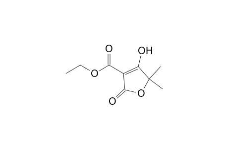 5,5-Dimethyl-3-(ethoxycarbonyl)-4-hydroxy-2(5H)-furanone