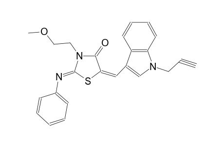 (2Z,5E)-3-(2-methoxyethyl)-2-(phenylimino)-5-{[1-(2-propynyl)-1H-indol-3-yl]methylene}-1,3-thiazolidin-4-one