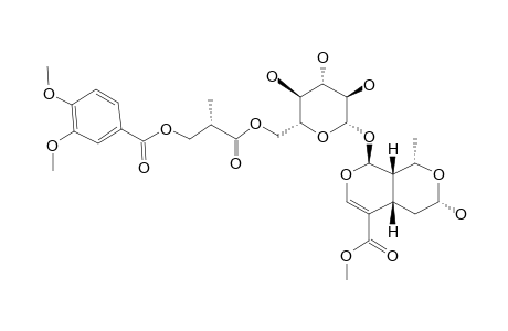 6'-O-[(2R)-METHYL-3-VERATROYLOXYPROPANOYL]-MORRONISIDE;[7-ALPHA-OH]