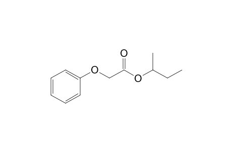 2-phenoxyacetic acid butan-2-yl ester