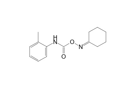 cyclohexanone, O-(o-tolylcarbamoyl)oxime