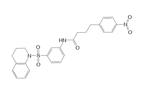 N-[3-(3,4-dihydro-2H-quinolin-1-ylsulfonyl)phenyl]-4-(4-nitrophenyl)butanamide