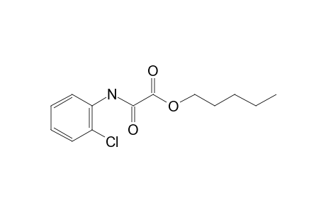 Oxalic acid, momoamide, N-(2-chlorophenyl)-, pentyl ester