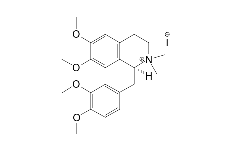 O,O'-dimethyl-Magnoflorin iodide