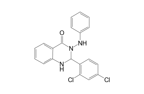 2,4-Dichlorophenyl)-3-(phenylamino)-2,3-dihydroquinazolin-4(1H)-one