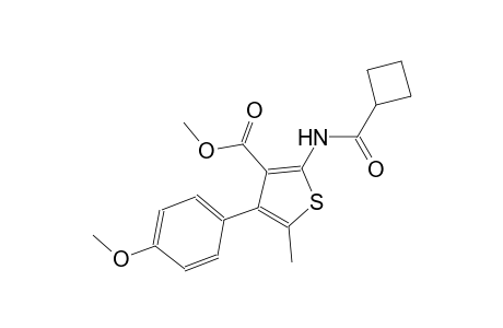 methyl 2-[(cyclobutylcarbonyl)amino]-4-(4-methoxyphenyl)-5-methyl-3-thiophenecarboxylate