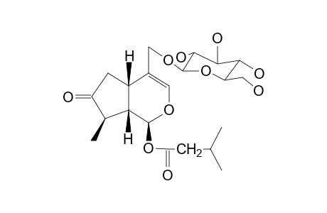 EBULOSIDE