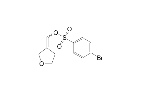 Dihydrofuran-3(2H)-ylidenemethyl 4-bromobenzenesulfonate