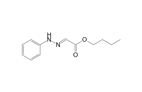 Butyl (2E)-(phenylhydrazono)ethanoate