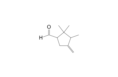 CYCLOPENTANECARBOXALDEHYDE, 2,2,3-TRIMETHYL-4-METHYLENE-