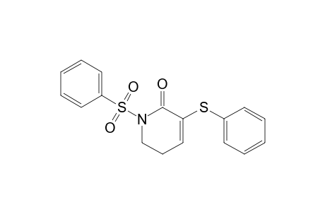 1-(benzenesulfonyl)-5-(phenylthio)-2,3-dihydropyridin-6-one
