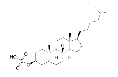 Dihydrocholesterol-3-sulfate in kbr