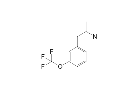 3-(Trifluoromethoxy)amphetamine