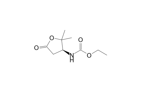 Ethyl N-[(3S)-2,2-dimethyl-5-oxidanylidene-oxolan-3-yl]carbamate