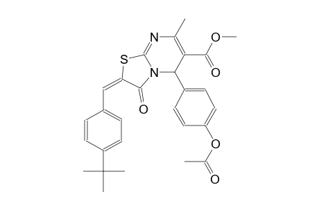 methyl (2E)-5-[4-(acetyloxy)phenyl]-2-(4-tert-butylbenzylidene)-7-methyl-3-oxo-2,3-dihydro-5H-[1,3]thiazolo[3,2-a]pyrimidine-6-carboxylate