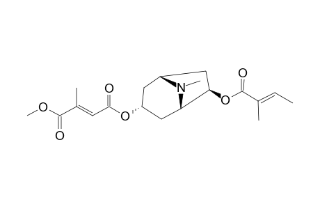 3.alpha.-(1-Methylmesaconyl)-6.beta.-tigloyloxytropane