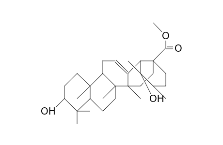 Ilexgenin-B,methylester
