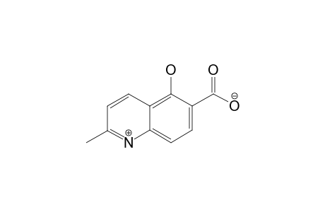 2-METHYL-5-HYDROXYQUINOLINE-6-CARBOXYLIC-ACID