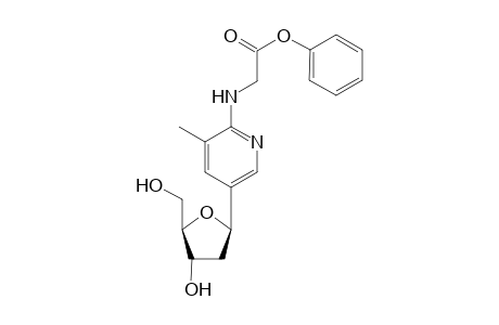 3-Methyl-2-[N-(phenoxyacetyl)amino)]-5-[2'-deoxy-.beta.,D-ribofuranosyl]pyridine
