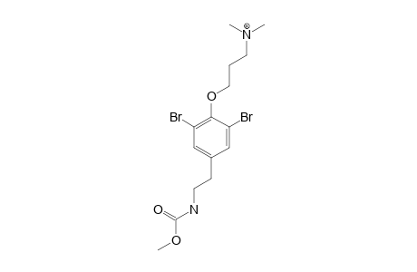 3-[2,6-dibromo-4-[2-(carbomethoxyamino)ethyl]phenoxy]propyl-dimethyl-ammonium