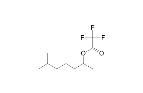 6-Methyl-2-heptanol, trifluoroacetate