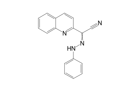 N-anilinoquinoline-2-carboximidoyl cyanide