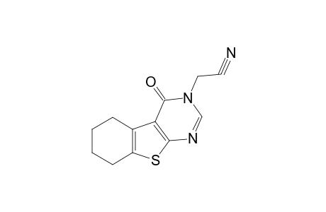 [1]Benzothieno[2,3-d]pyrimidine-3-acetonitrile, 3,4,5,6,7,8-hexahydro-4-oxo-