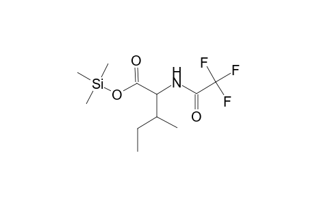 l-Isoleucine, N-(trifluoroacetyl)-, trimethylsilyl ester