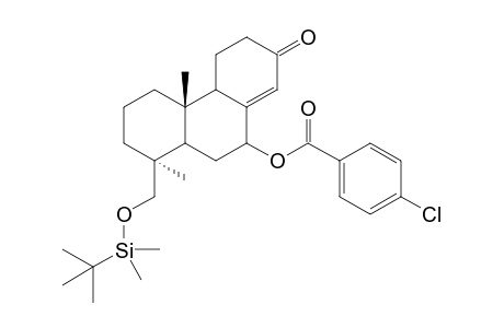 15-(tert-Butyldimethylsilyloxy)podocarp-8(14)-en-13-one-7-yl p-chlorobenzoate