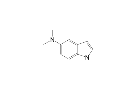 5-Dimethylamino-indole
