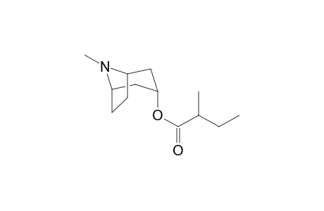 3-alpha-(2-Methylbutyryloxy)tropane