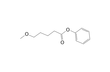 Pentanoic acid, 5-methoxy-, phenyl ester