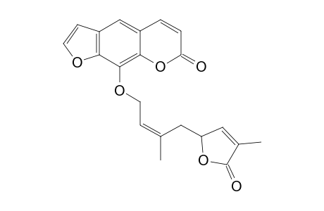 Wampetin (dehydroindicolactone)