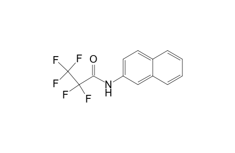 2,2,3,3,3-pentafluoro-N-(2-naphthalenyl)propanamide