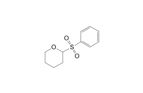 2-(Phenylsulfonyl)tetrahydro-2H-pyran