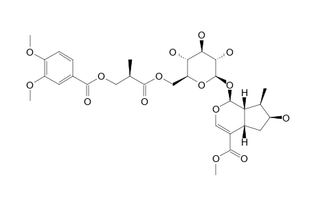 6'-O-[2-(R)-METHYL-3-VERATROYLOXYPROPANOYL]-LOGANIN