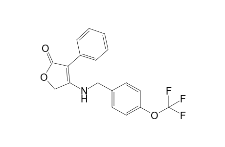 4-[4-(Trifluoromethoxy)benzylamino]-3-phenylfuran-2(5H)-one