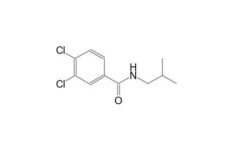 3,4-dichloro-N-isobutylbenzamide
