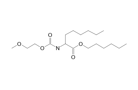 2-Aminocaprylic acid, N-(2-methoxyethylcarbonyl)-, hexyl ester