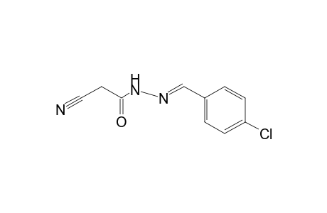 CYANOACETIC ACID, (p-CHLOROBENZYLIDENE)HYDRAZIDE