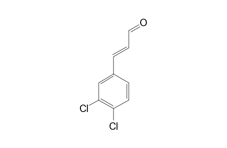 (E)-3-(3,4-CHLOROPHENYL)-ACRYLALDEHYDE