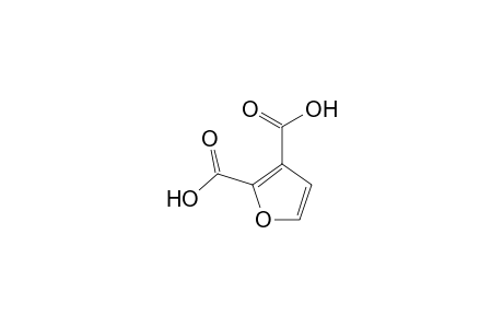 2,3-Furandicarboxylic acid