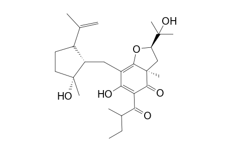 (2R,3aS-)4-Hydroxy-7-[((1S,2R)2'-hydroxy-5'-isopropenyl-2'-methylcyclopentyl)methyl]-2-(1"-hydroxy-1"-methylethyl)-3a-methyl-5-(2-methylbutyryl)-3,3a-dihydro-2H-benzofuran-6-one