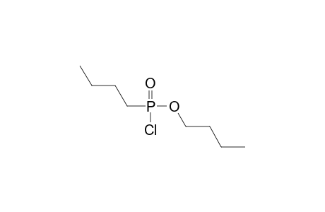 phosphochloridic acid, dibutyl ester