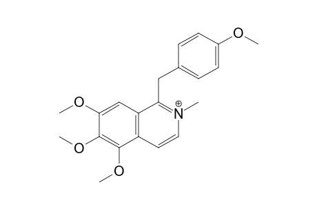 5,6,7-trimethoxy-1-[(4-methoxyphenyl)methyl]-2-methyl-isoquinolin-2-ium