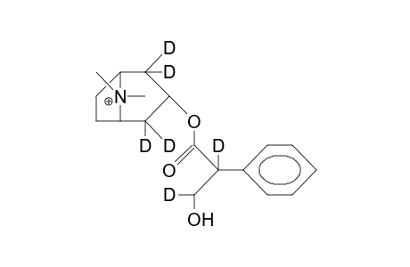 1',2',2,2,4,4-Hexadeuterio-N-methyl-atropinium cation