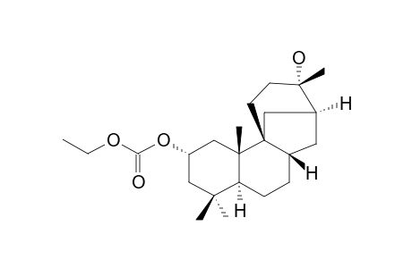2-ALPHA-ETHYLCARBONYLOXY-13-HYDROXYSTEMODANE