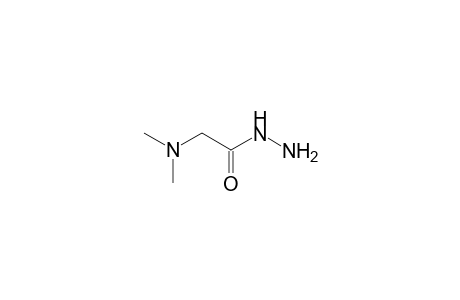 Ethanamine, 2-hydrazino-N,N-dimethyl-2-oxo-